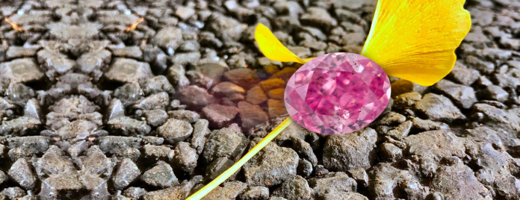 Růžový oválný diamant z dolu Argyle
